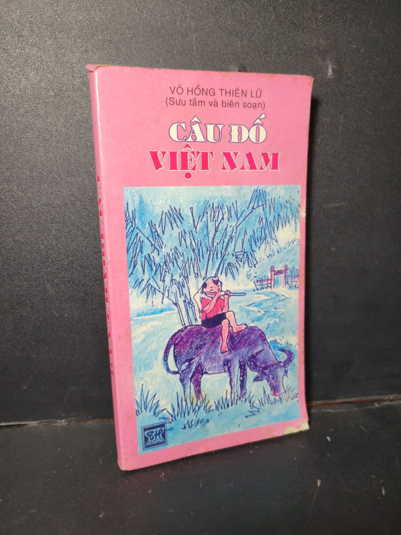 Câu đố Việt Nam mới 70% ố ẩm rách bìa rách nhẹ góc 2000 HCM1001 Võ Hồng Thiên Lữ KỸ NĂNG (NSX)