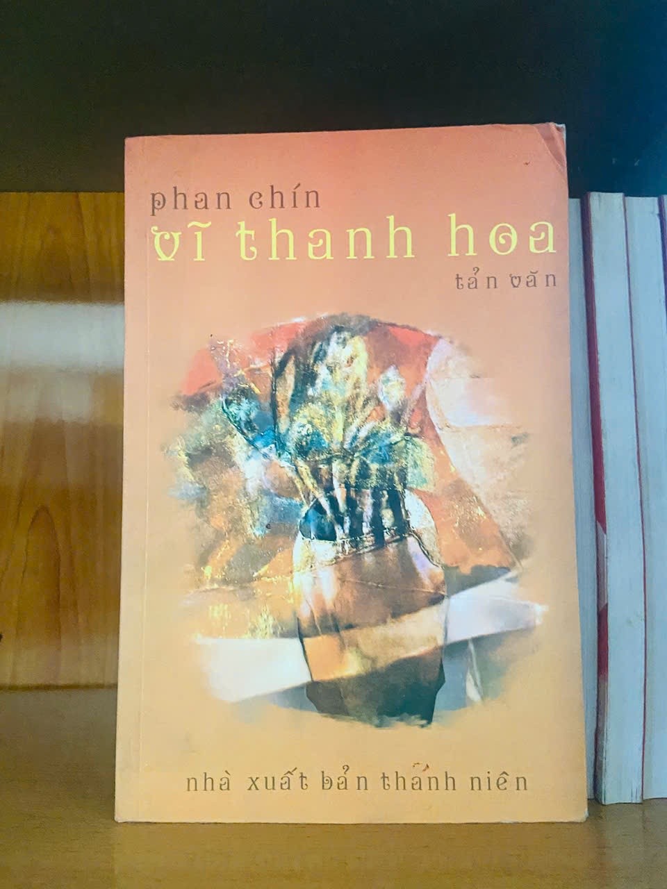 Vĩ thanh hoa / Phan Chín VĂN HỌC VAVO1301