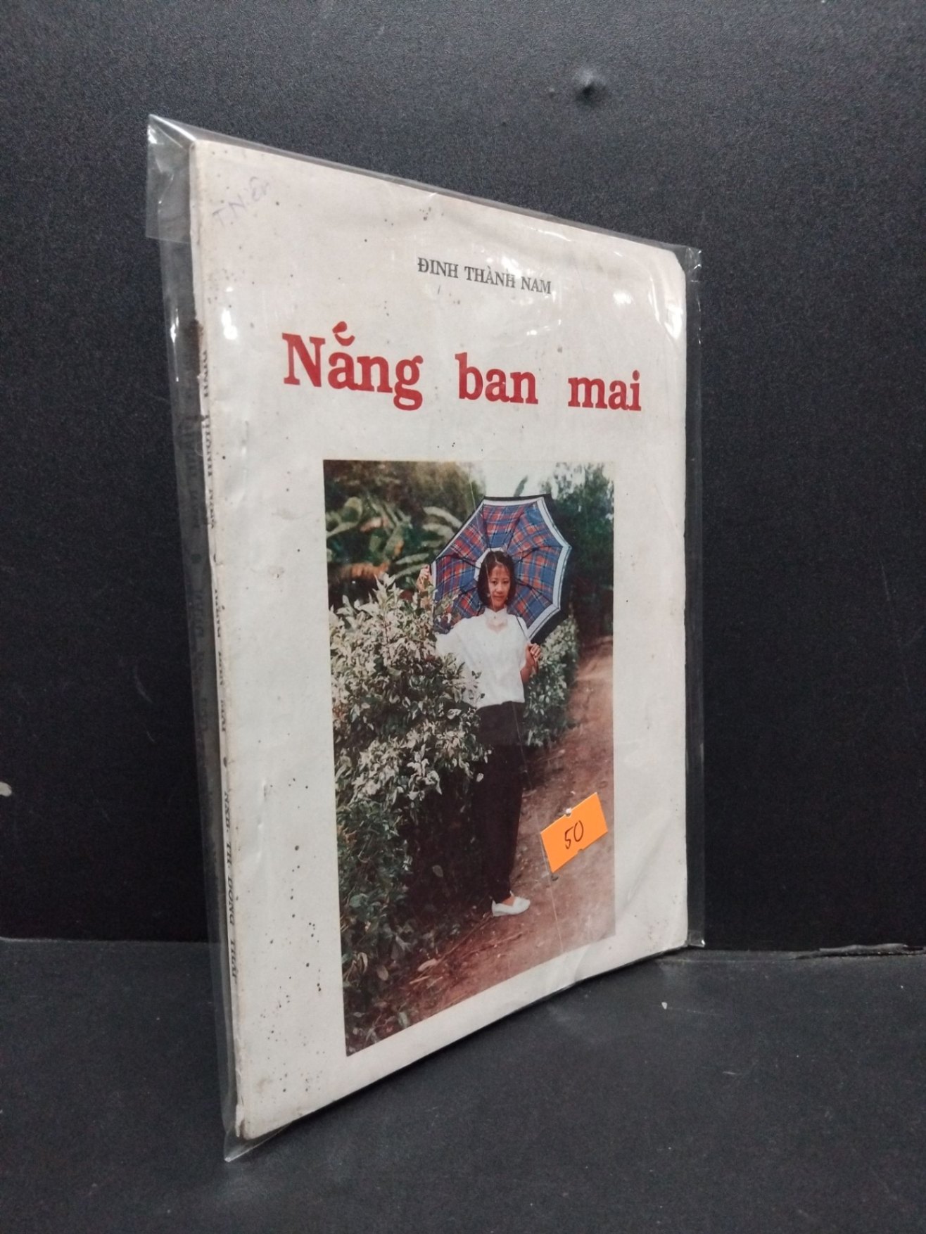 Nắng Ban Mai mới 70% ố vàng, bẩn bìa (có bọc) HCM0107 Đinh Thành Nam VĂN HỌC (NSX)