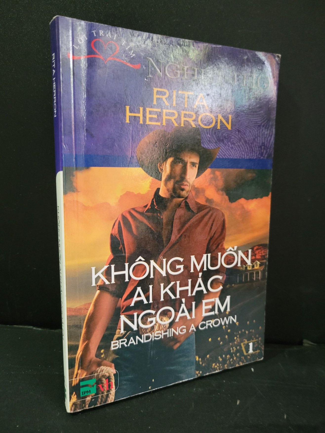 Không muốn ai khác ngoài em mới 90% bẩn bìa, ố nhẹ, tróc gáy nhẹ 2011 Rita Herron HCM3004 VĂN HỌC (NSX)