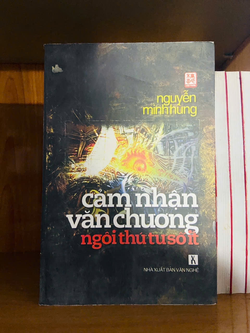 Cảm nhận văn chương ngôi thứ tư số ít / Nguyễn Minh Hùng VĂN HỌC VAVO1301