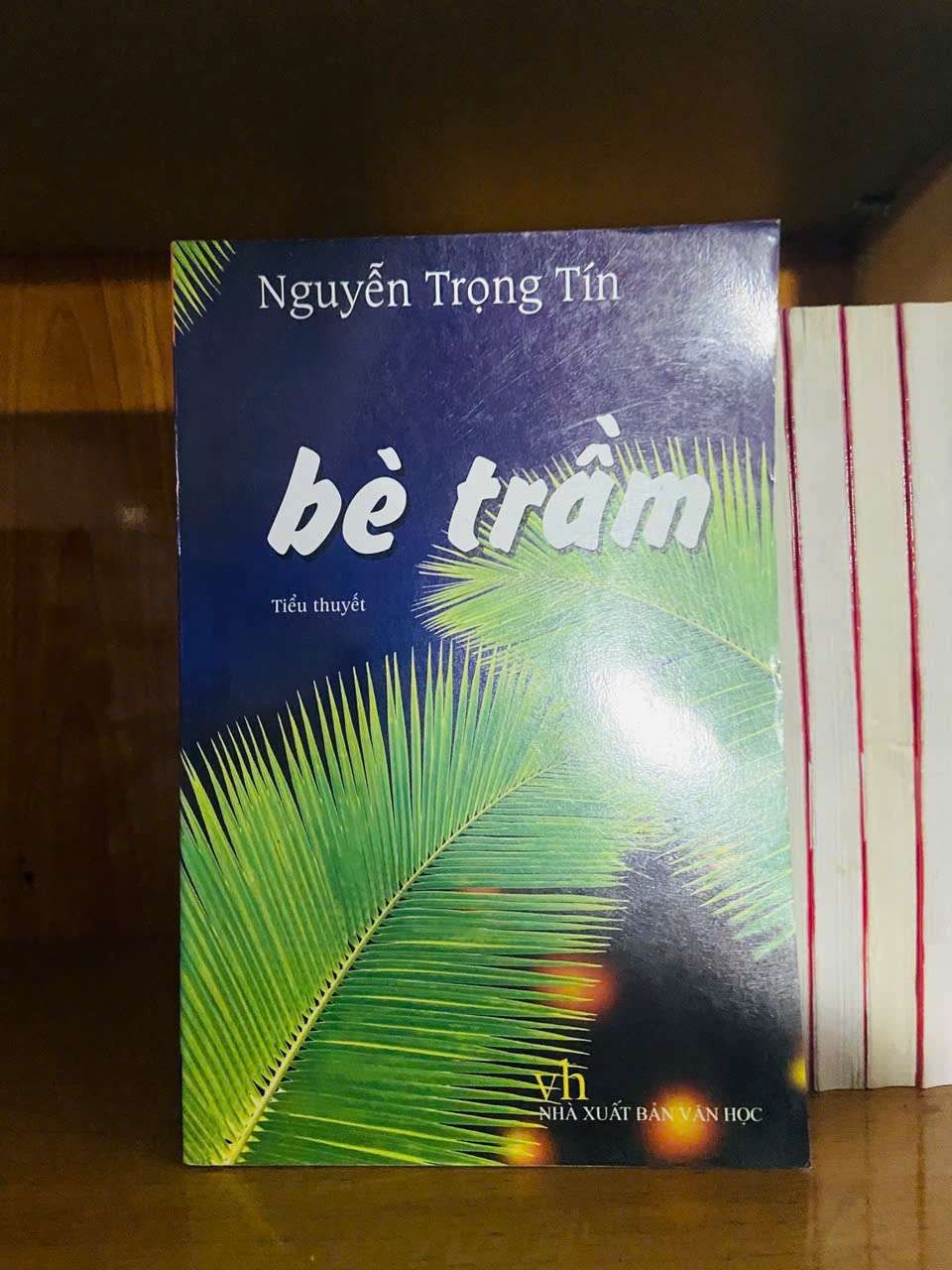 Bè trầm - Nguyễn Trọng Tín VĂN HỌC VAVO0810