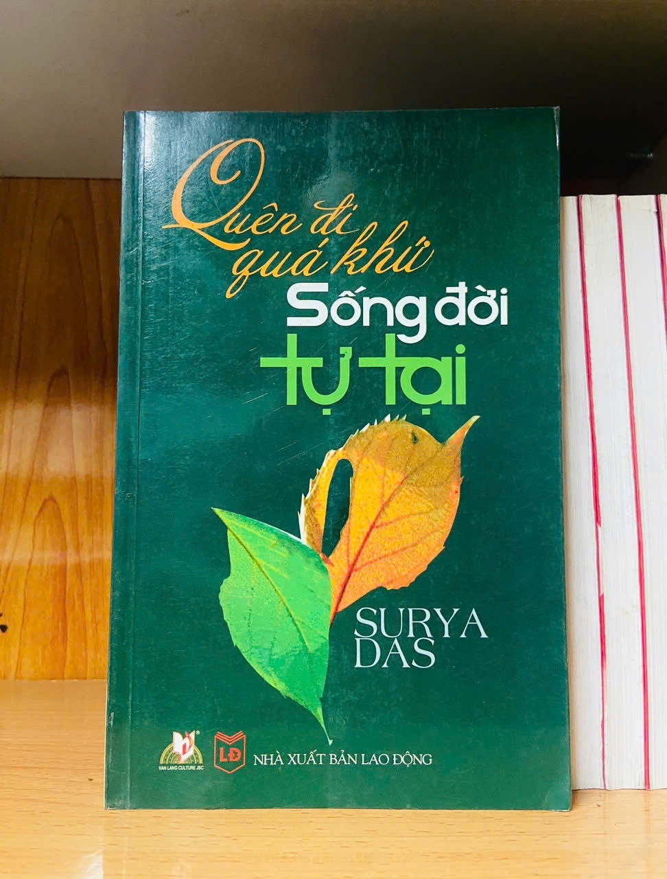 Quên đi quá khứ Sống đời tự tại - Surya Das - TÂM LINH - TÔN GIÁO - THIỀN - VAVO2911-236