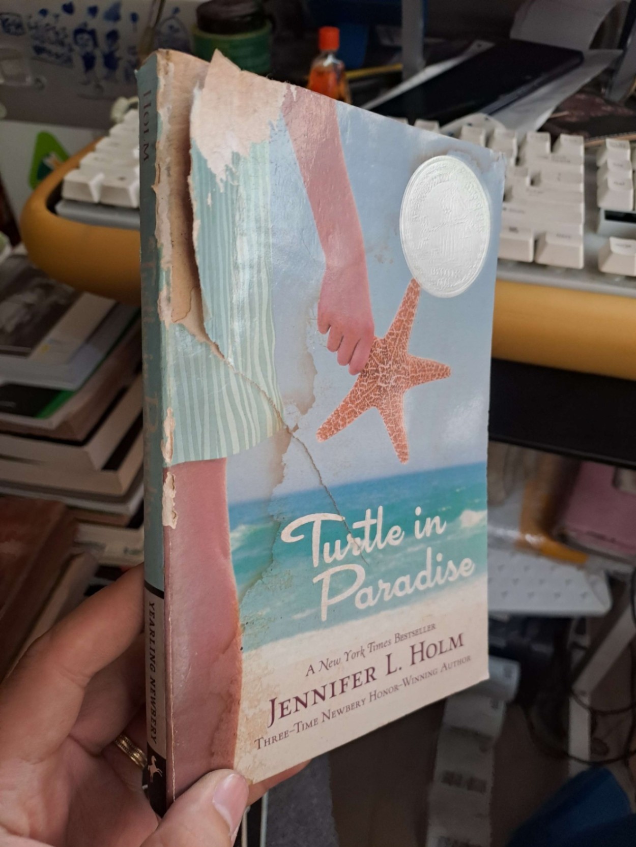 Turtle in Paradise mới 70% rách bìa Jennifer L. Holm ENGLISH BOOKS HCM2908