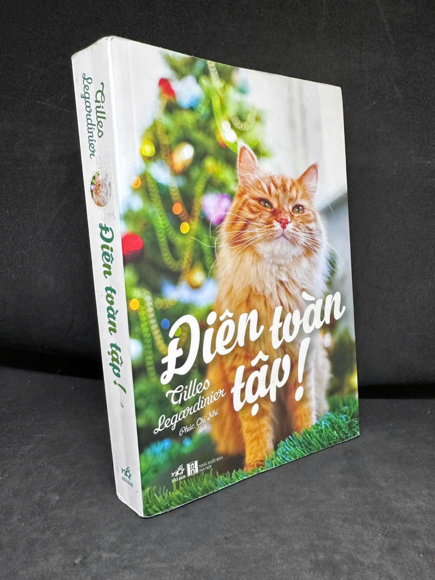 [Phiên Chợ Sách Cũ] Điên Toàn Tập!, 2019 - Gilles Legardinier H1809 SBM