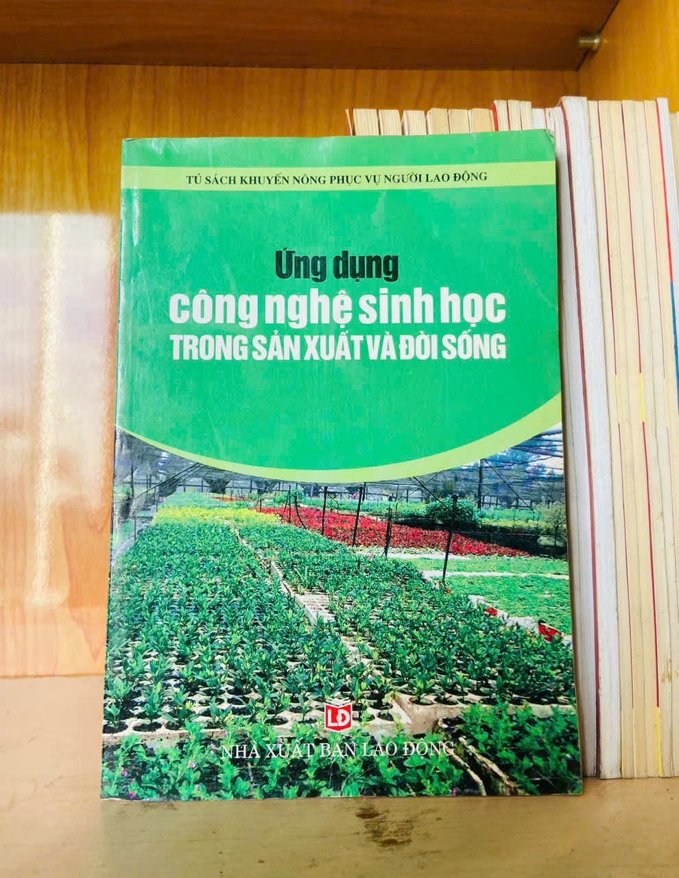 Ứng dụng công nghệ sinh học trong sản xuất và đời sống - KHOA HỌC ĐỜI SỐNG - VAVO2911-175