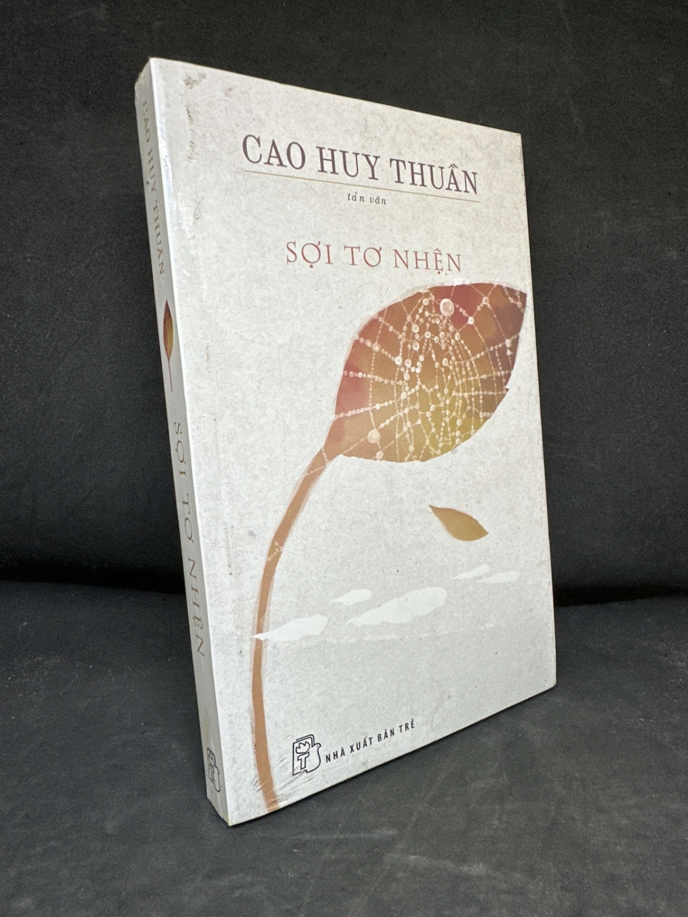 [Phiên Chợ Sách Cũ] Sợi Tơ Nhện - Cao Huy Thuần (Seal) S2511 SBM - VĂN HỌC - SBM2911-100