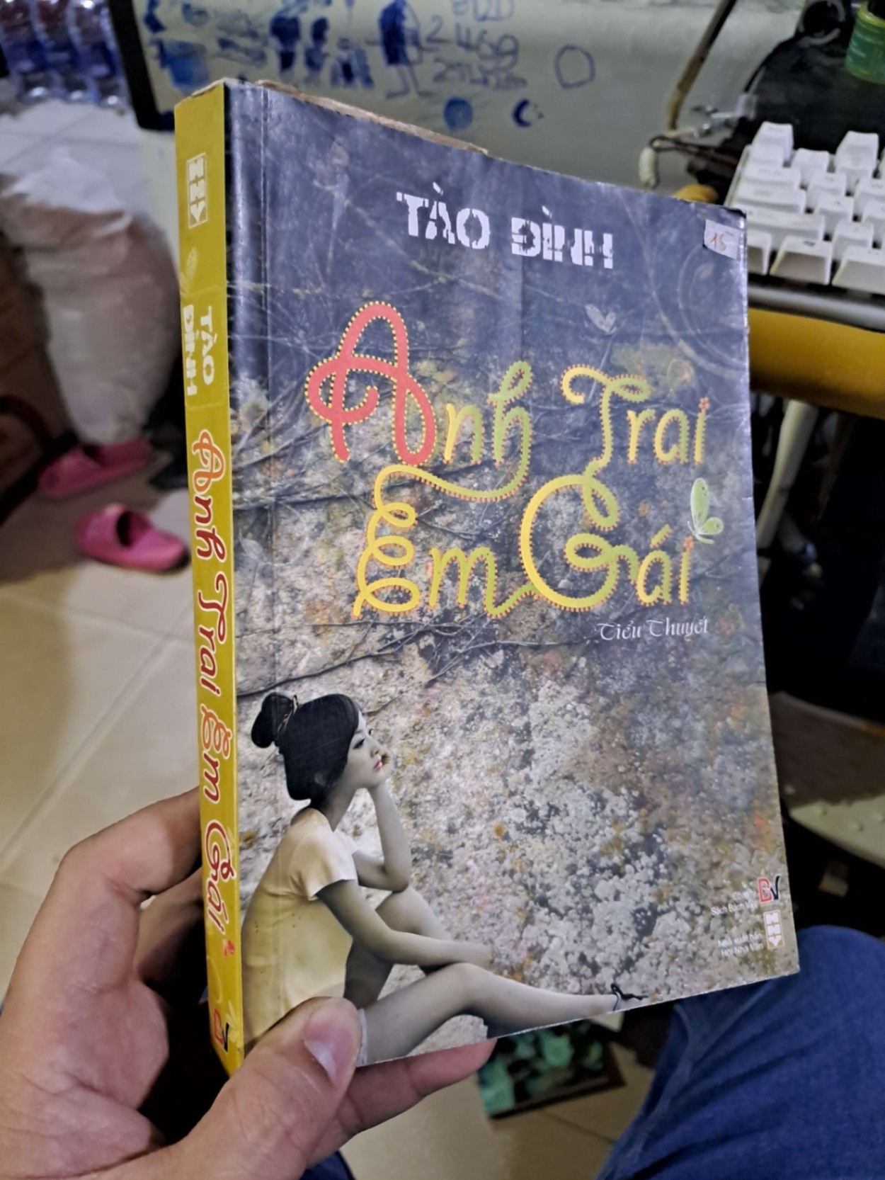 Anh trai em gái - Tào Đình VĂN HỌC HCM1008