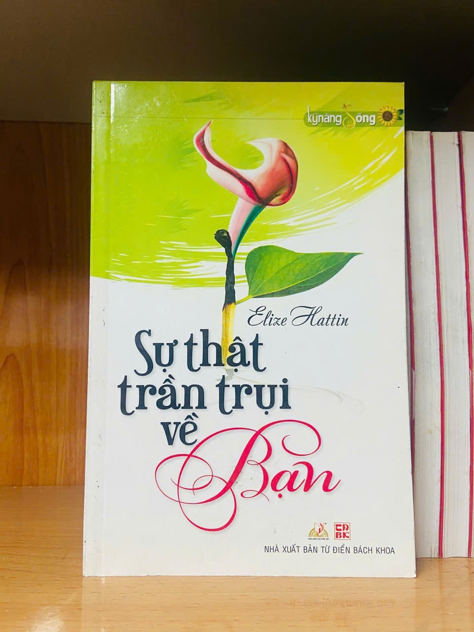 Sự thật trần trụi về Bạn / Elize Hattin KỸ NĂNG VAVO2012-99
