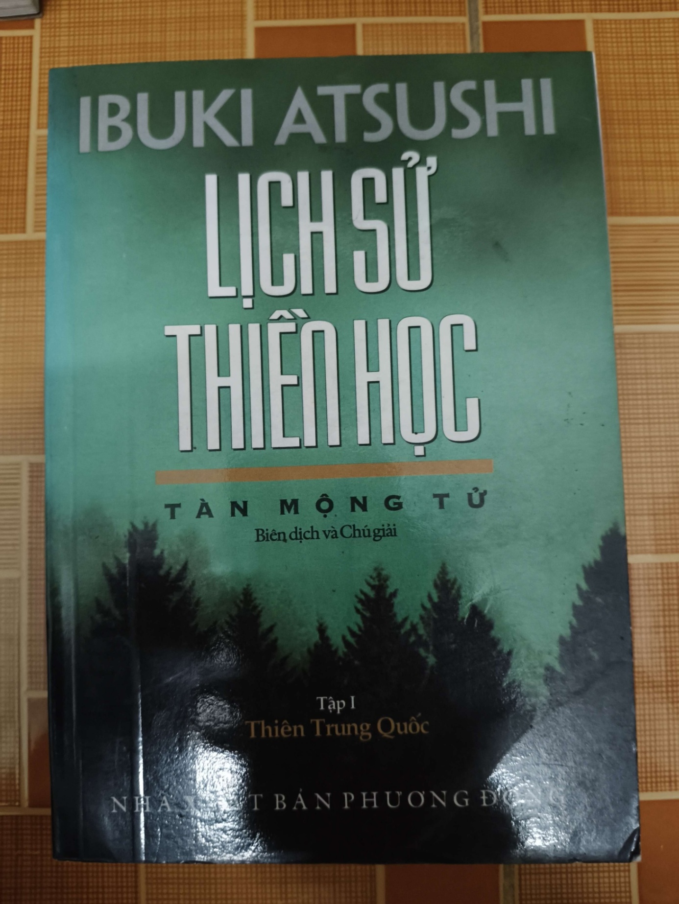 Lịch sử thiền học - 2007 - 608 trang - LỊCH SỬ - CHÍNH TRỊ - TRIẾT HỌC - ANTQ2911-58