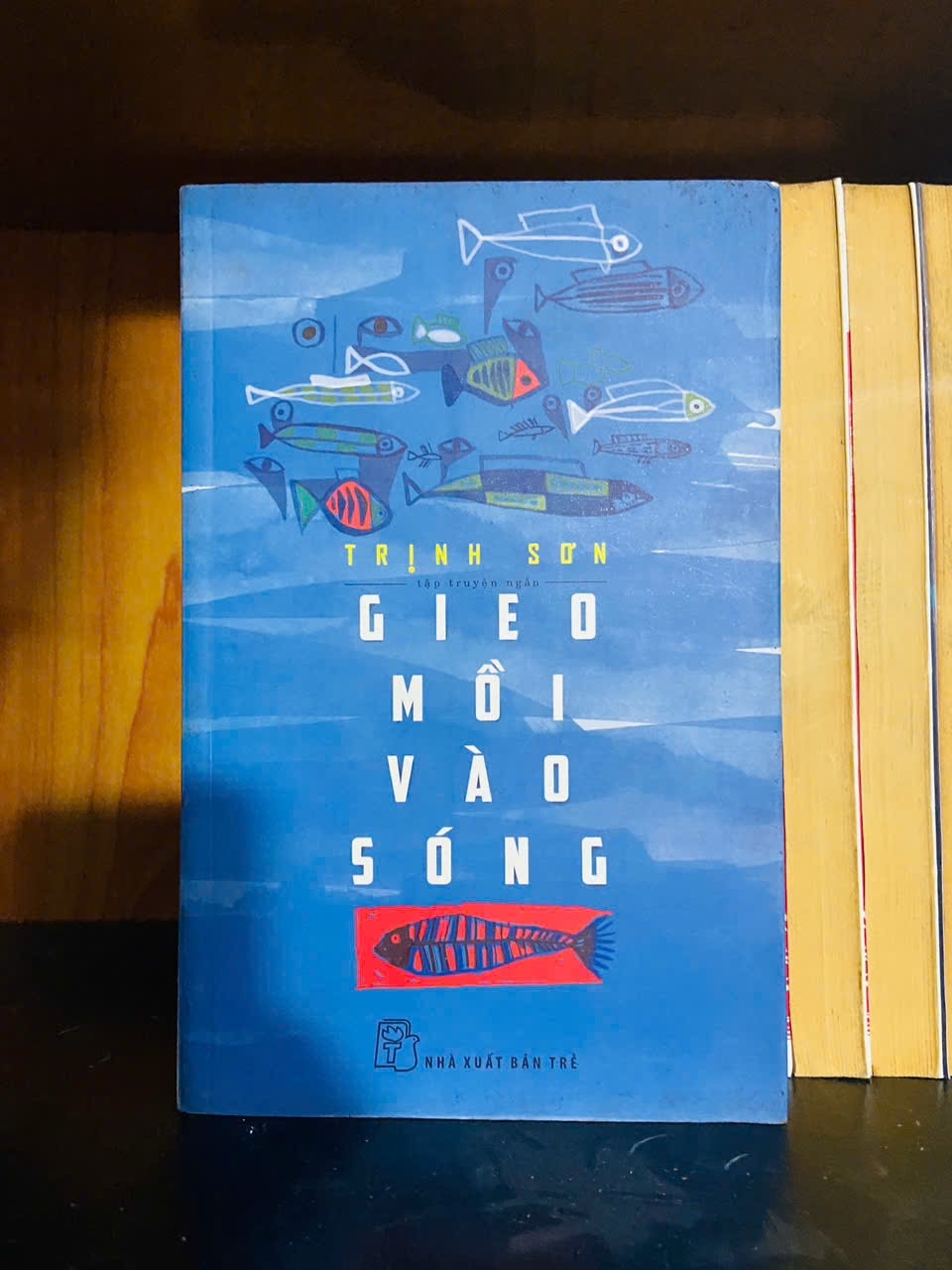 Gieo mồi vào sóng - Trịnh Sơn - VĂN HỌC - VAVO1211