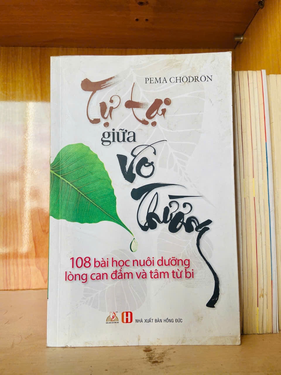 Tự tại giữa vô thường - Pema Chodron - TÂM LINH - TÔN GIÁO - THIỀN - VAVO2911-188