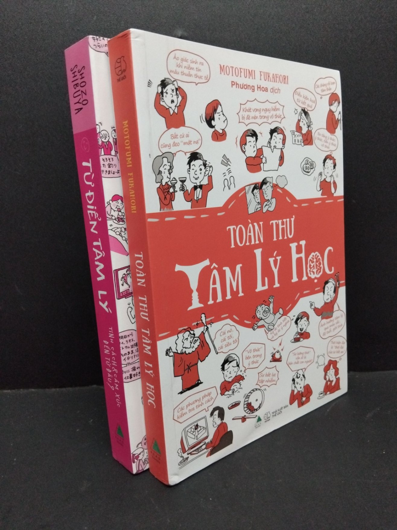 Combo 2 quyển Toàn thư tâm ký học và từ điển tâm lý (có bọc) mới 90% bẩn nhẹ HCM1410 TÂM LÝ (NSX)
