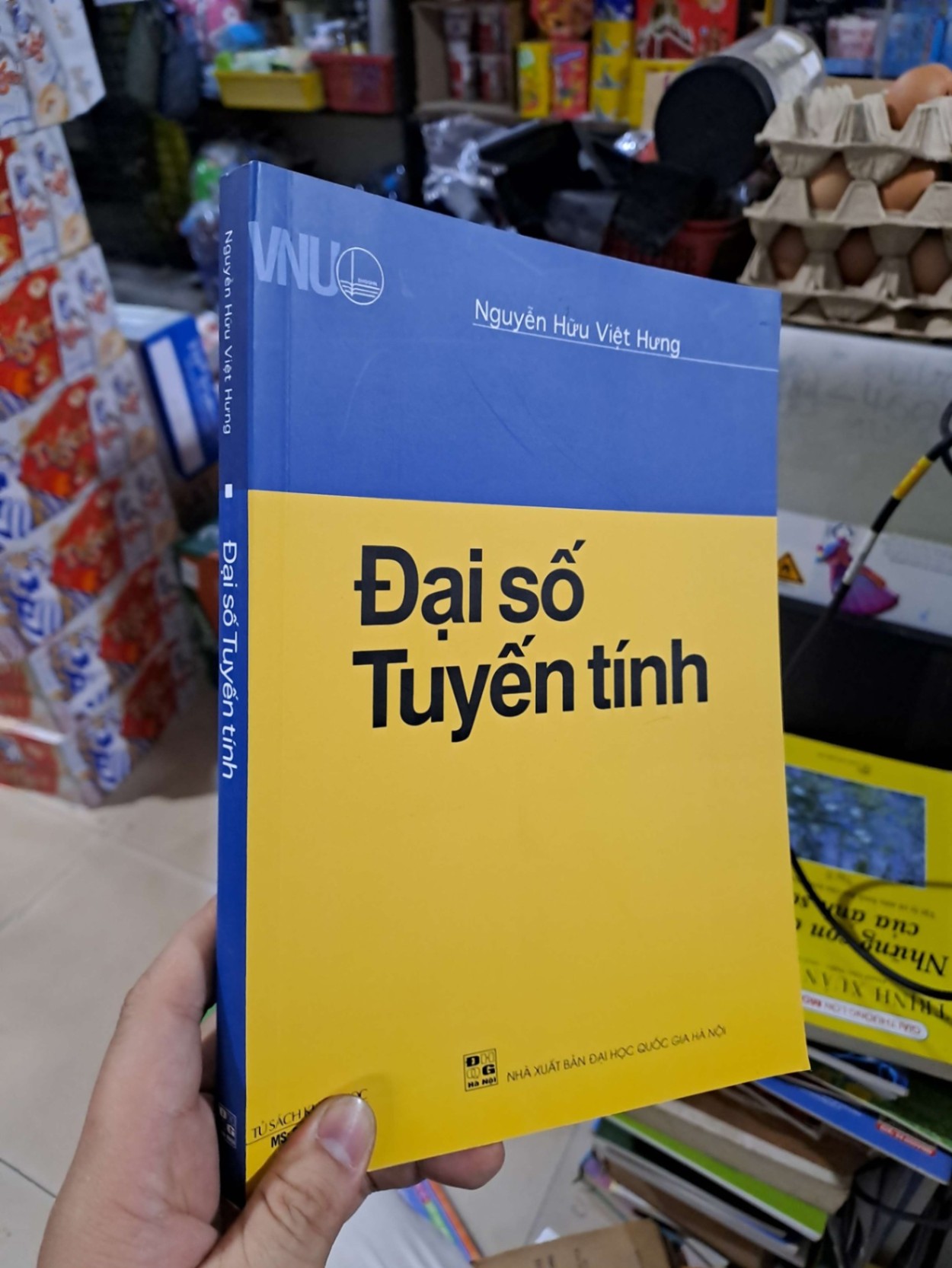 Đại Số Tuyến Tính - Nguyễn Hữu Việt Hưng - 2019 mới 90% - GIÁO KHOA - HCM3012