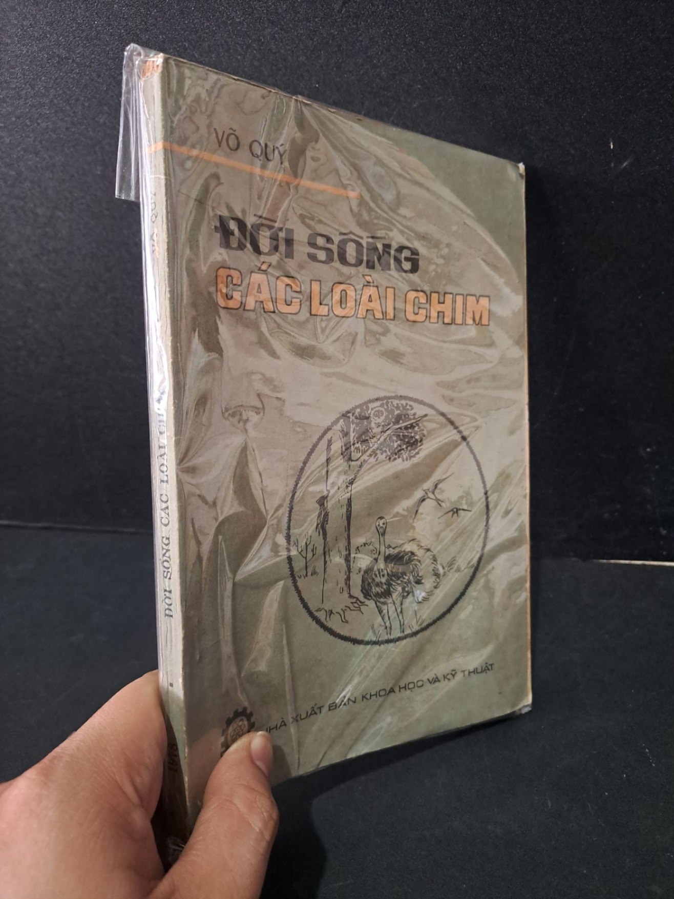 Đời sống các loài chim mới 60% bẩn bìa, ố vàng, tróc bìa, rách gáy 1978 Võ Quý HCM2603 KHOA HỌC ĐỜI SỐNG (NSX)