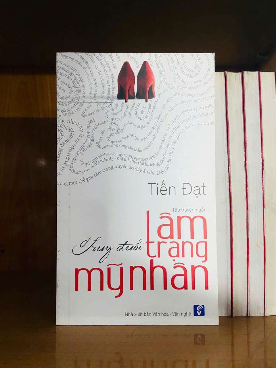 Truy đuổi tâm trạng Mỹ Nhân - Tiến Đạt VĂN HỌC VAVO0810