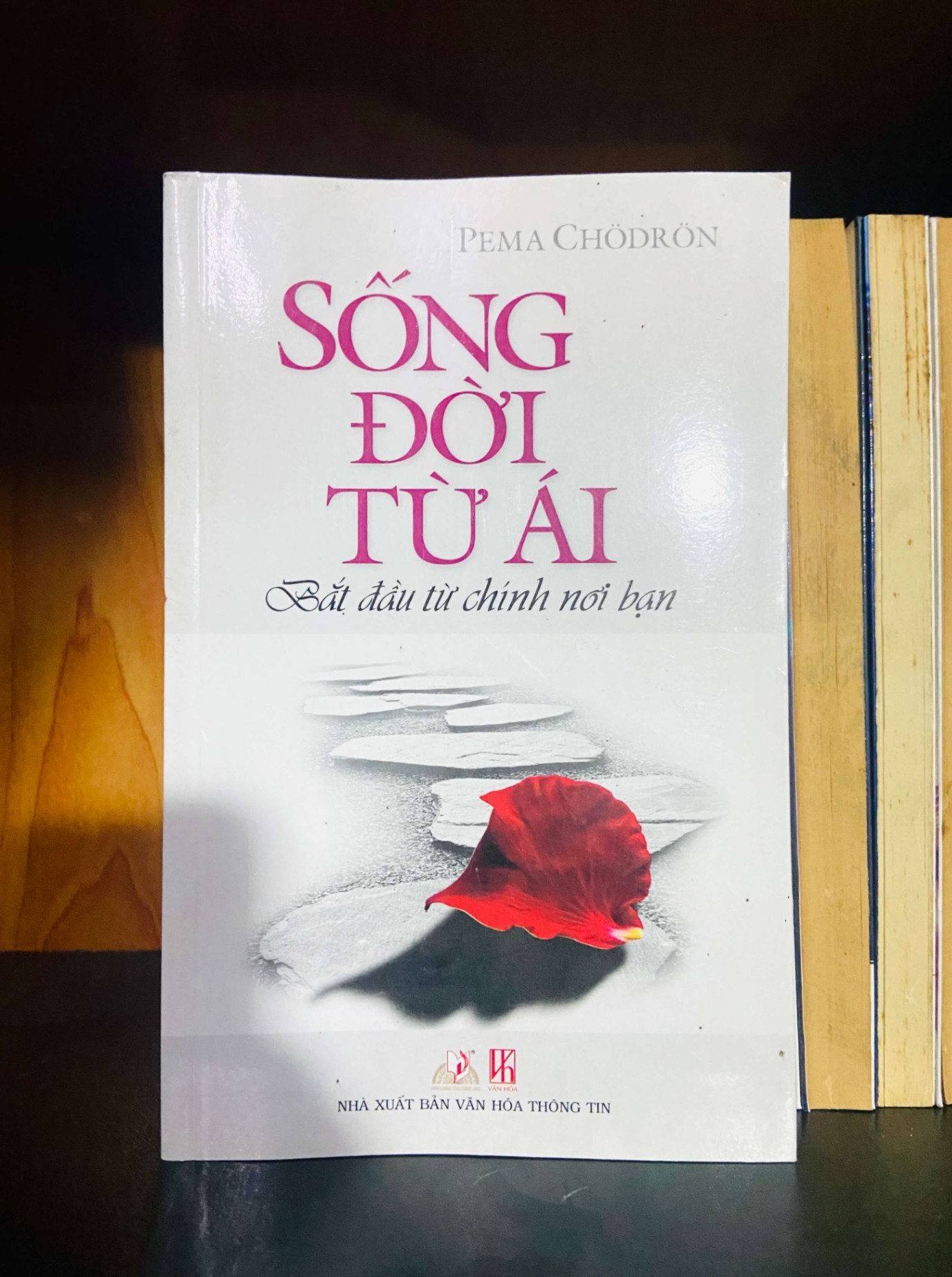 Sống đời từ ái - Pema Chodron TÂM LINH - TÔN GIÁO - THIỀN VAVO0810