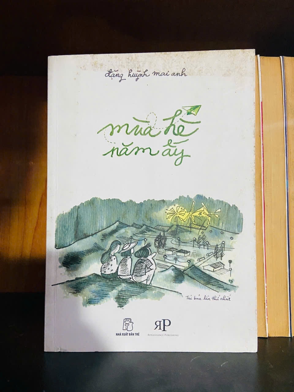 Mùa hè năm ấy - Đặng Huỳnh Mai Anh - VĂN HỌC - VAVO1211