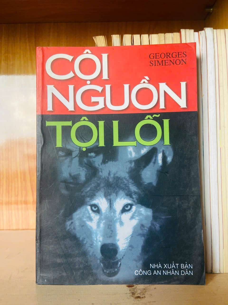 Cội nguồn tội lỗi - Georges Simenon VĂN HỌC VAVO0810