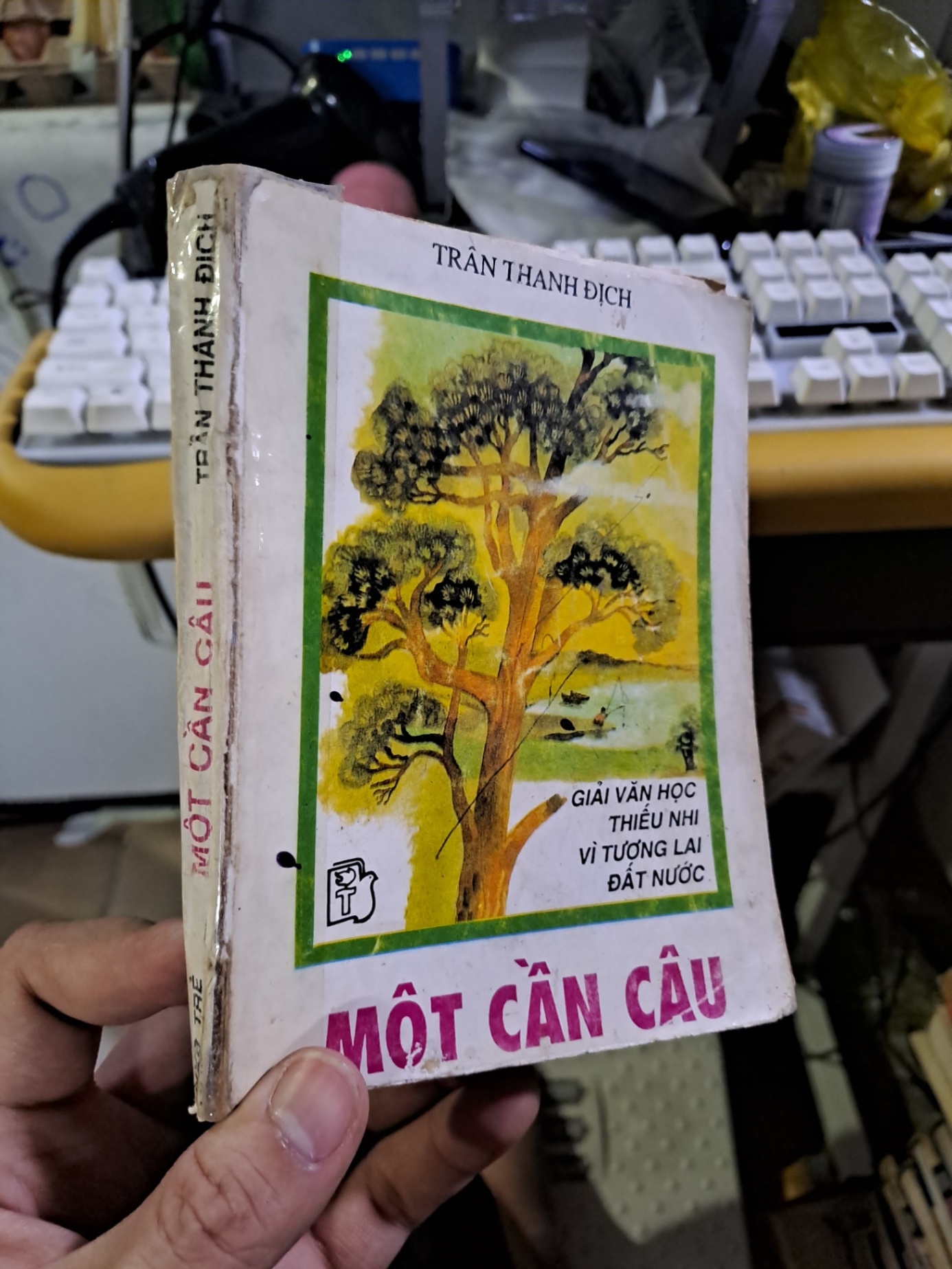 Một cần câu giải van học thiếu nhi vì tương lai Trần Thanh Địch mới 80% ố 1995 Văn học Việt Nam HCM1709 (NSX)