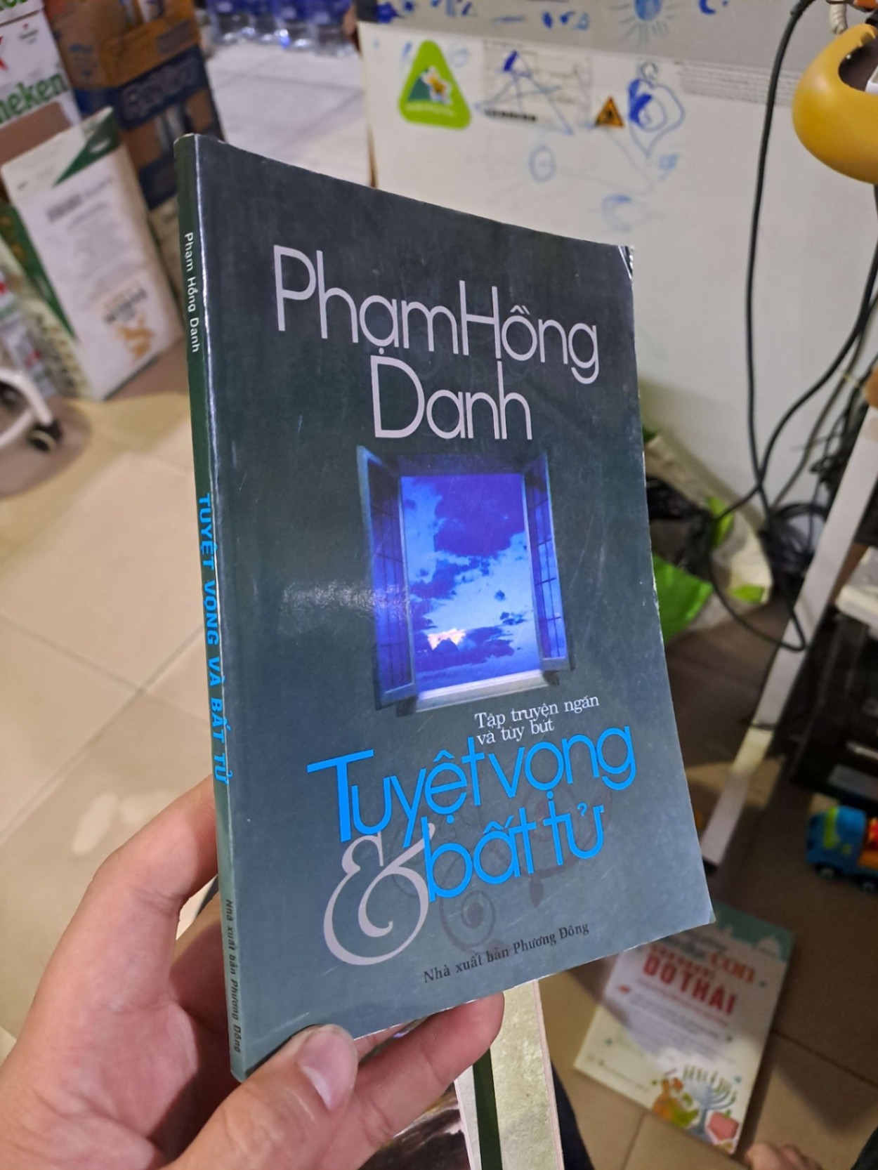 Tuyệt vọng và bất tư Pham Hồng Danh mới 80% ố 2012 Văn học Việt Nam HCM1809 (NSX)