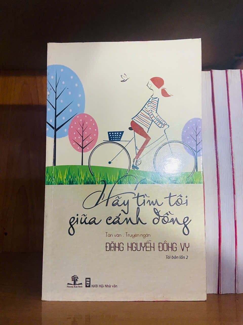 Hãy tìm tôi giữa cánh đồng / Đặng Nguyễn Đông Vy VĂN HỌC VAVO1301