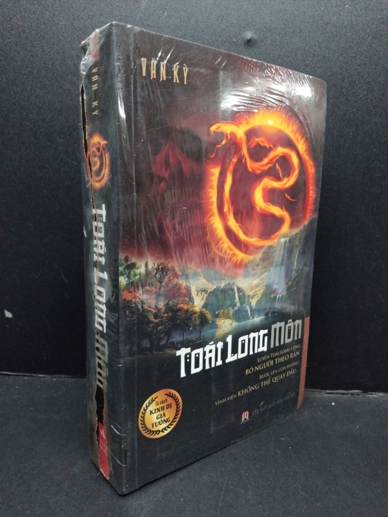 Toái Long Môn (có seal) mới 80% ố vàng HCM1008 Văn Kỳ VĂN HỌC (NSX)