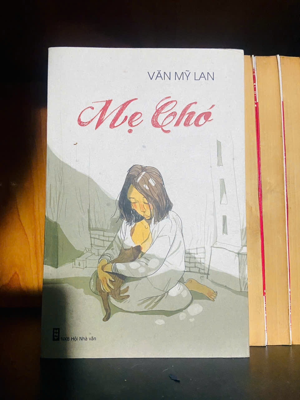 Mẹ chó / Văn Mỹ Lan VĂN HỌC VAVO2012-75