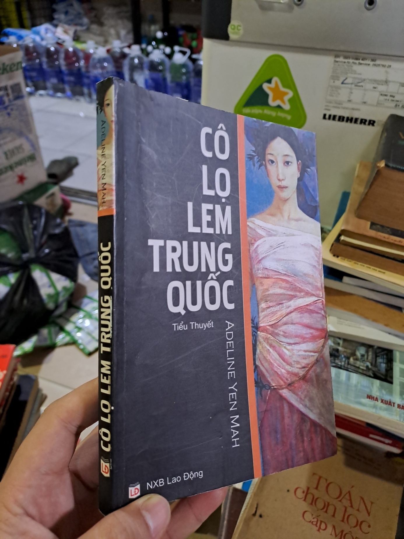 Cô lọ lem trung quốc mới 80% ố nhẹ 2006 HCM0308 Văn học nước ngoài (NSX)