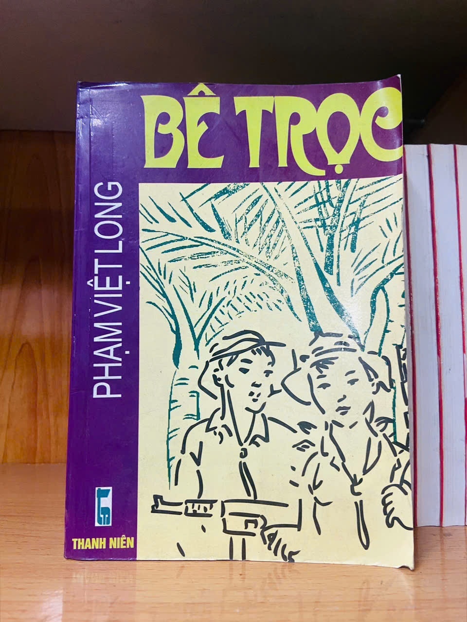 Bê trọc / Phạm Việt Long VĂN HỌC VAVO1301