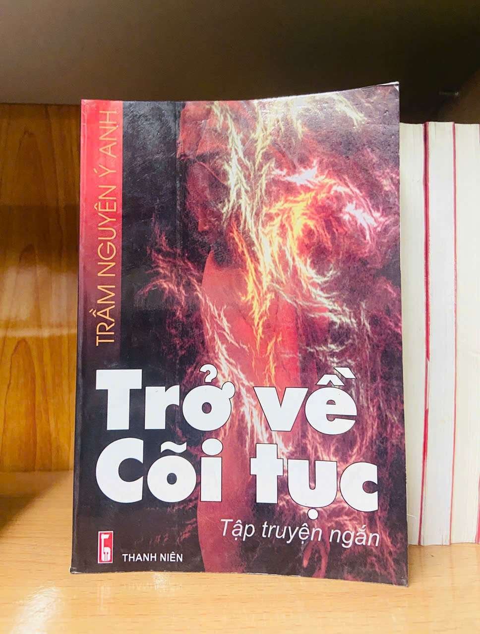 Trở về Cõi tục - Trầm Nguyên Ý Anh VĂN HỌC VAVO0810