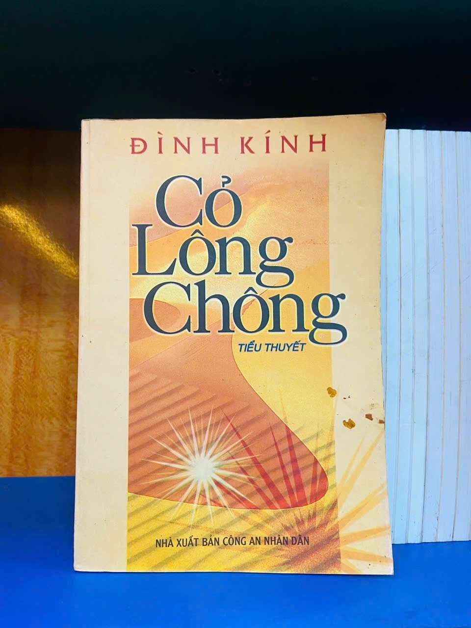 Cỏ Lông Chông - Đình Kính - VĂN HỌC - Văn võ - VAVO3110-57