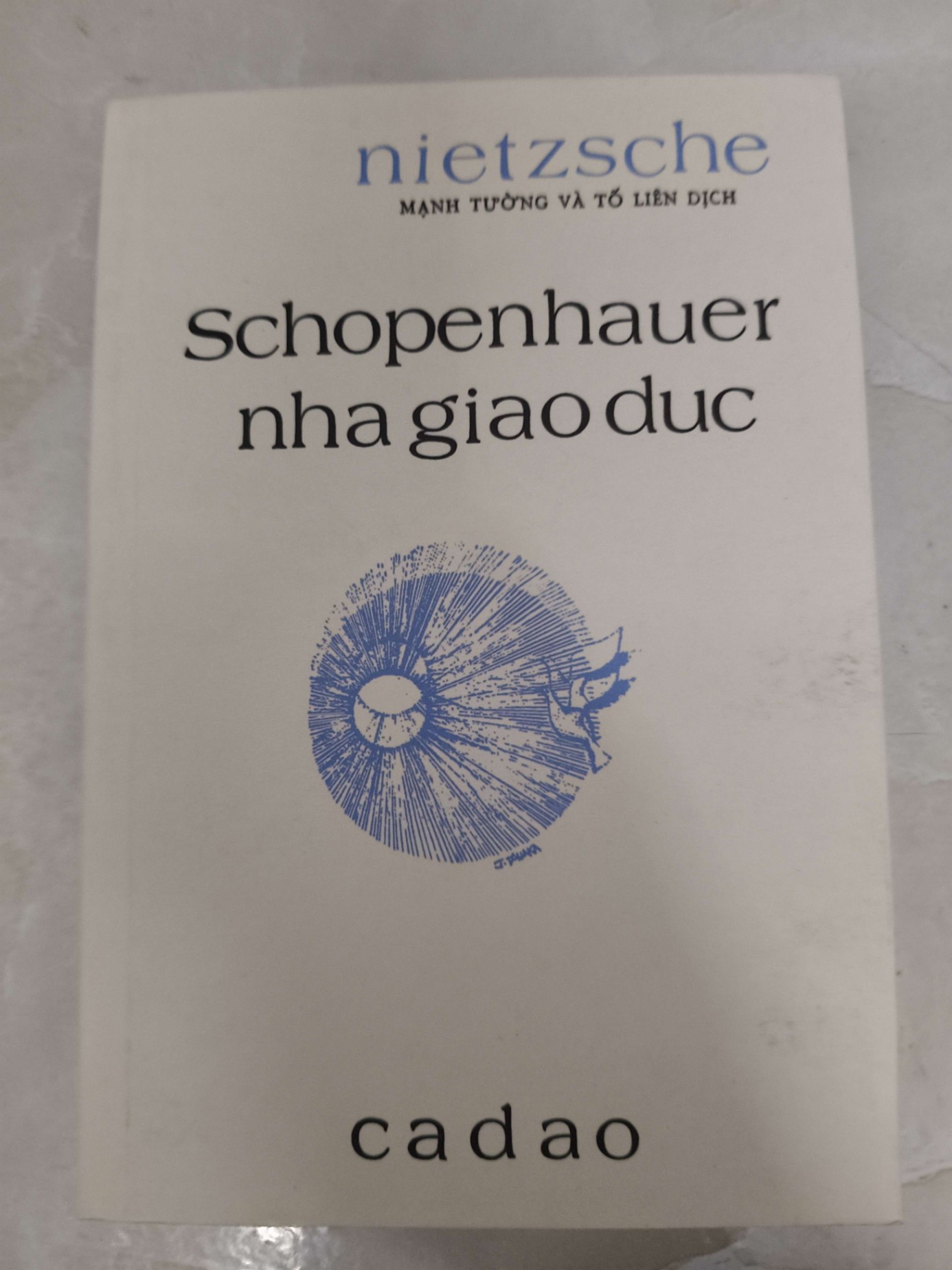 Remake Schopenhauer nhà giáo dục - 160 trang - LỊCH SỬ - CHÍNH TRỊ - TRIẾT HỌC - ANTQ2011-35