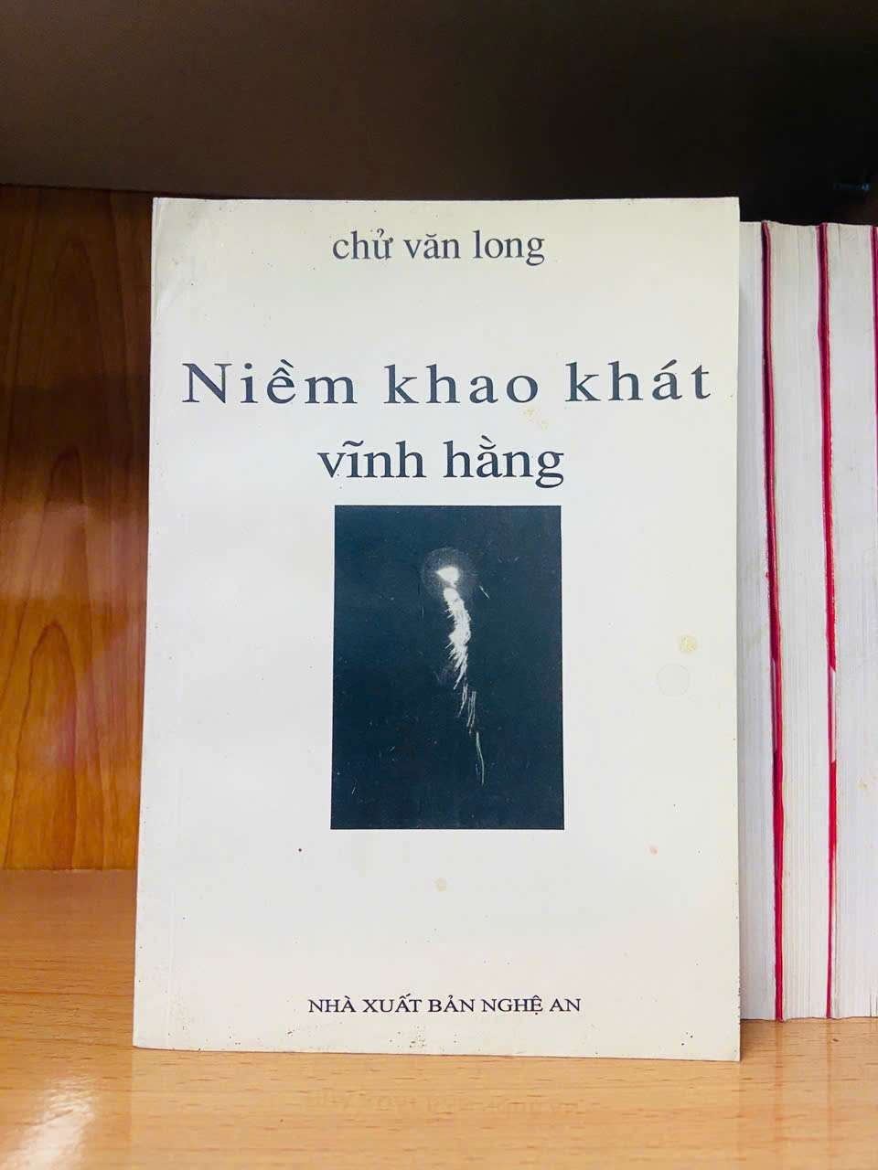 Niềm khao khát vĩnh hằng - Chử Văn Long VĂN HỌC VAVO0810