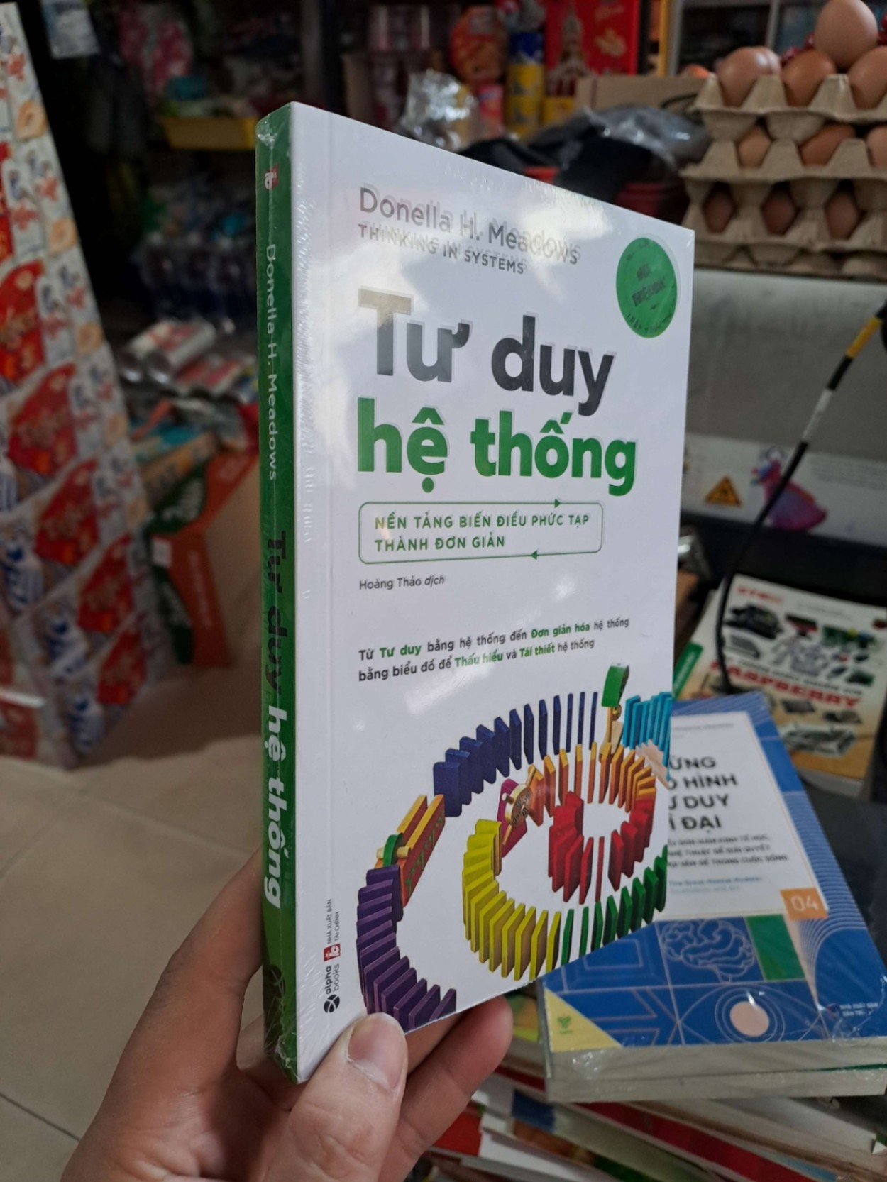 Tư Duy Hệ Thống (Nền Tảng Biến Những Điều Phức Tạp Thành Đơn Giản) -Donella H. Meadows - mới 100% - KỸ NĂNG - HCM3012 (NSX)
