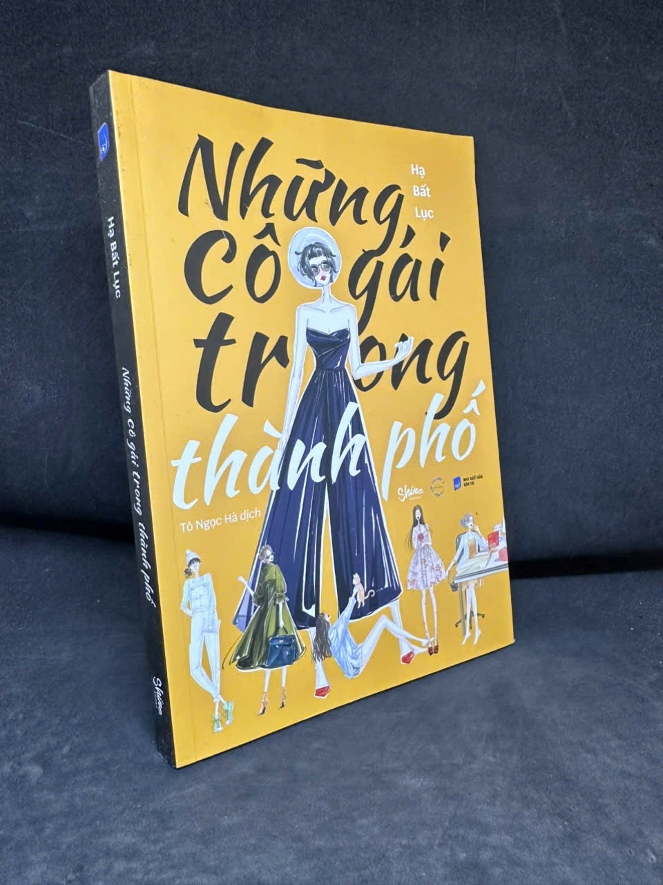 [Phiên Chợ Sách Cũ] Những Cô Gái Trong Thành Phố, 2019 - Hạ Bất Lục H1108 SBM