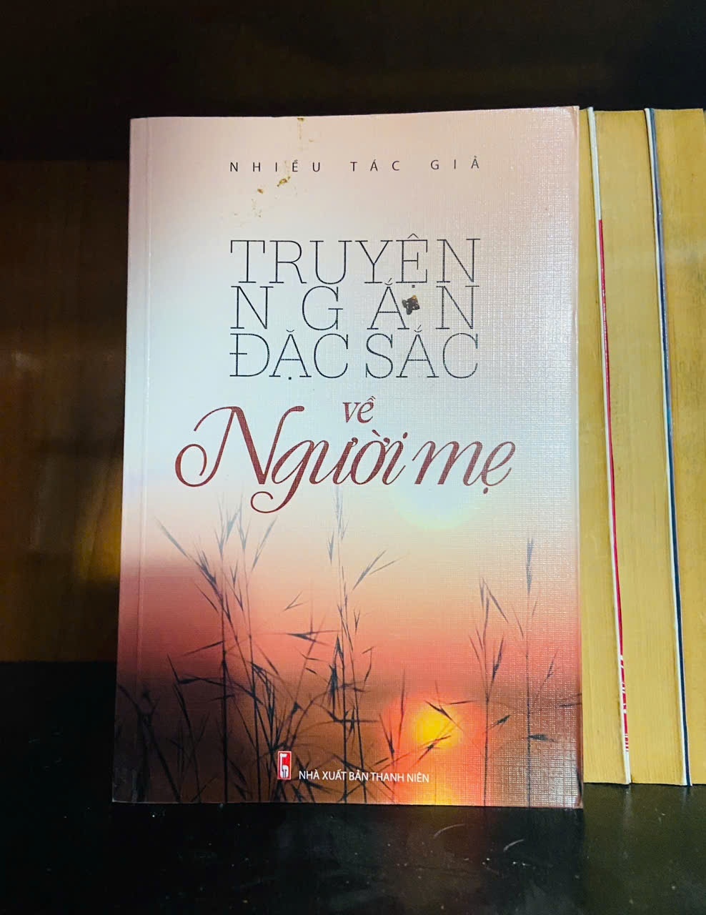 Truyện ngắn đặc sắc về Người mẹ - VĂN HỌC - VAVO1211