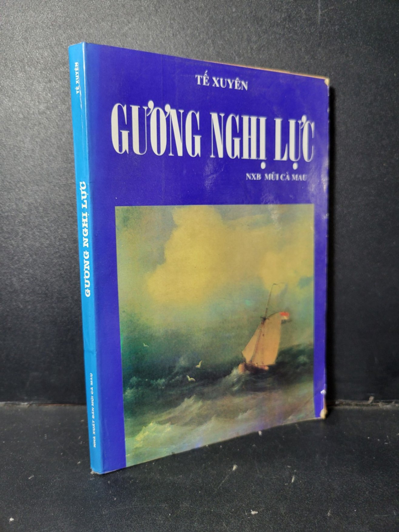 Gương nghị lực mới 80% ố vàng 1998 HCM1001 Tế Xuyên VĂN HỌC (NSX)