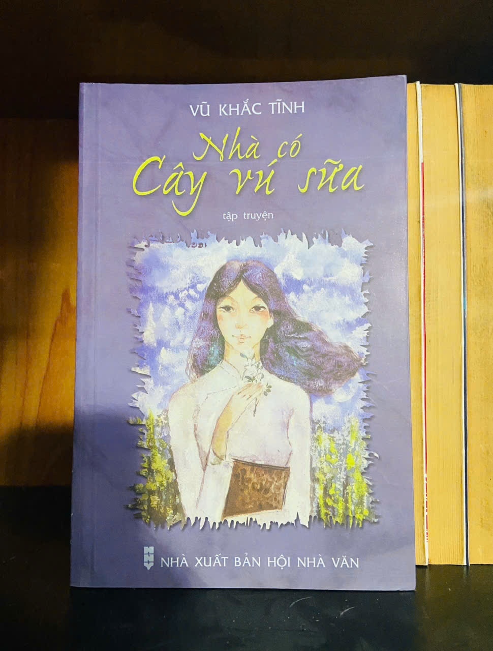 Nhà có Cây vú sữa - Vũ Khắc Tĩnh - VĂN HỌC - VAVO1211
