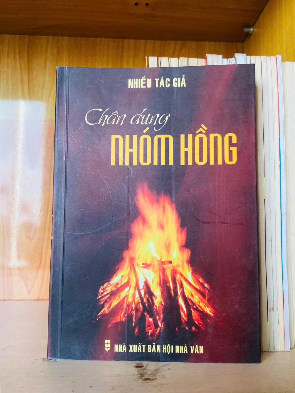 Chân dung nhóm hồng - VĂN HỌC - VAVO2911-223