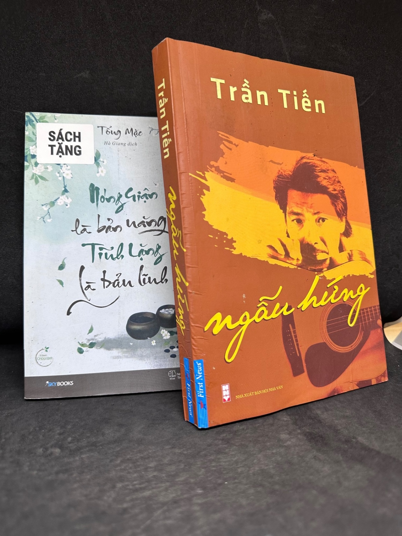 [Phiên Chợ Sách Cũ] Ngẫu Hứng (Tặng kèm sách) - Trần Tiến 2204, 2016 SBM