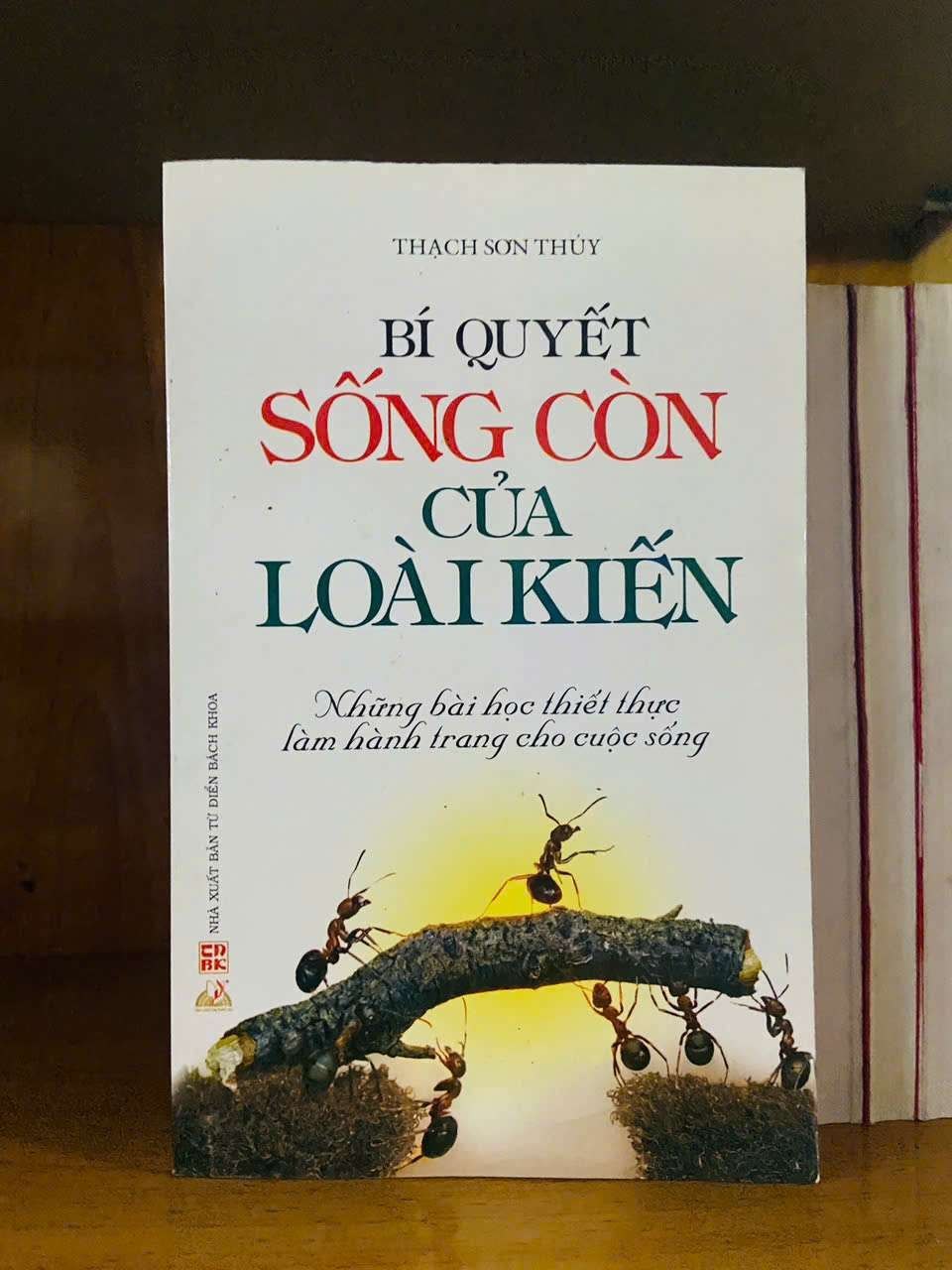 Bí quyết sống còn của loài kiến - Thạch Sơn Thủy KHOA HỌC ĐỜI SỐNG VAVO0810