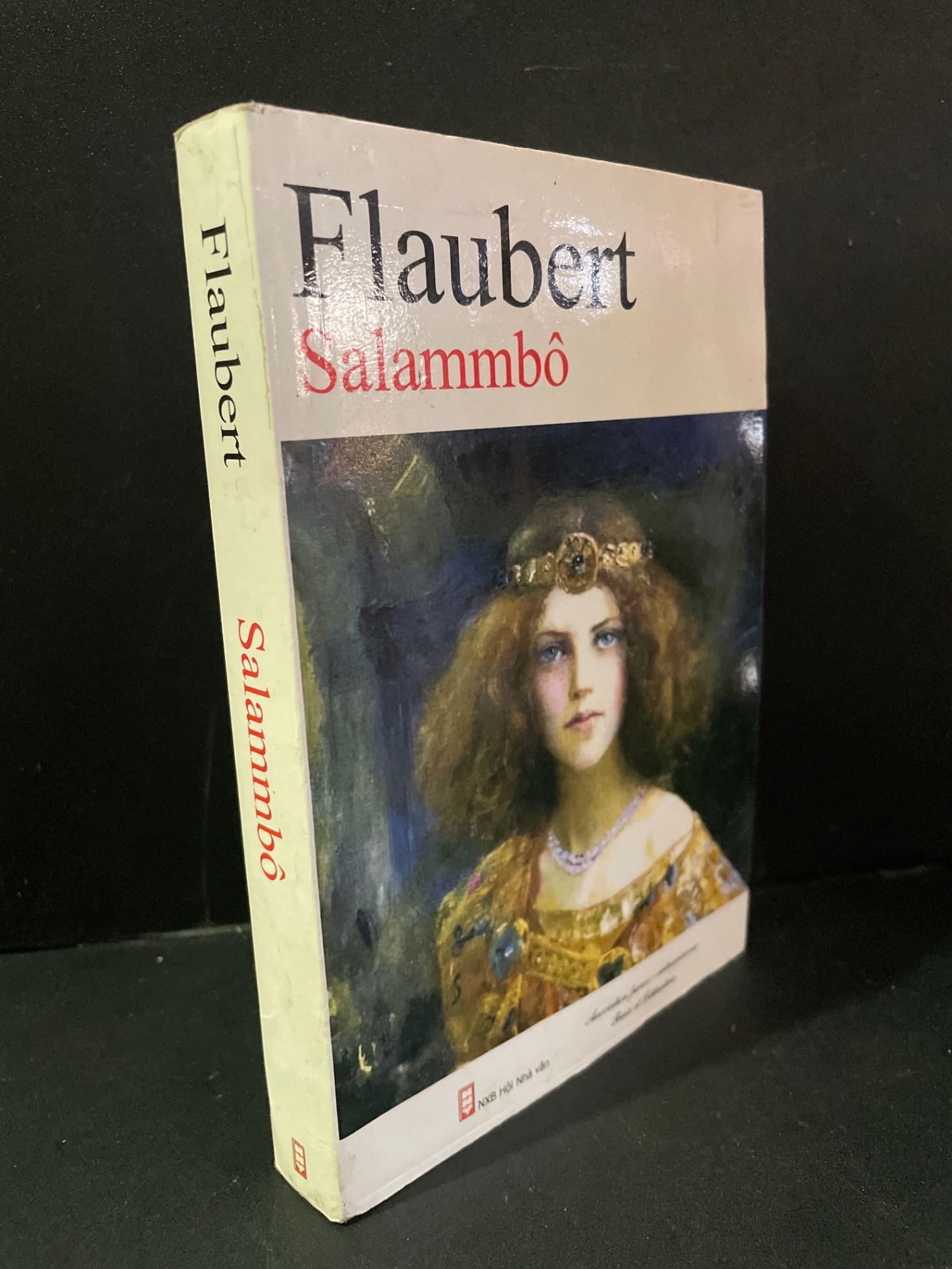 Salammbo mới 70% bẩn bìa, ố nhẹ, bị ẩm 2014 Gustave Flaubert HCM3004 VĂN HỌC (NSX)