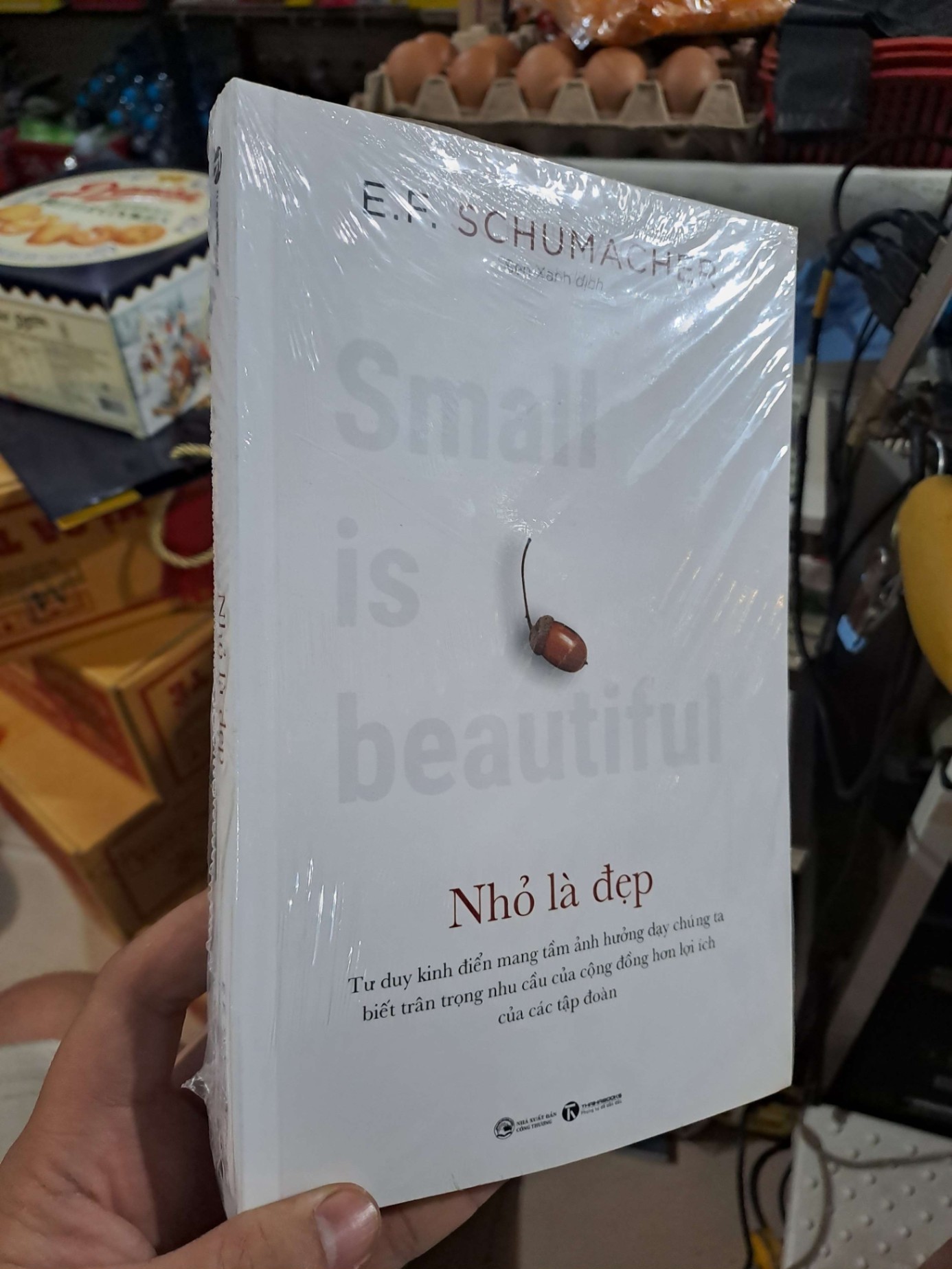 Nhỏ Là Đẹp - E F Schumacher - mới 100% - QUẢN TRỊ - HMT3012