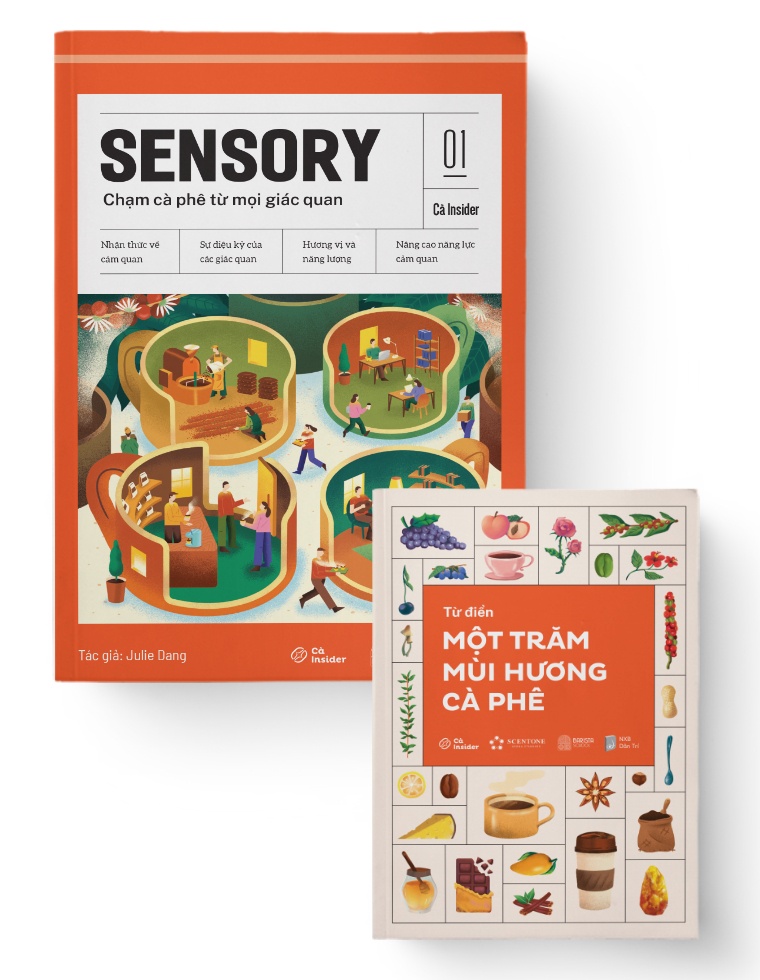 CÀ INSIDER NO.1 SENSORY - Chạm cà phê từ mọi giác quan - Julie Đặng - MARKETING KINH DOANH