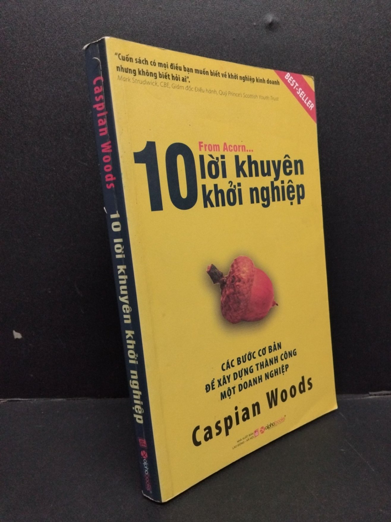 10 Lời khuyên khởi nghiệp mới 80% ố bẩn nhẹ có viết trang cuối 2011 HCM1008 Caspian Woods KỸ NĂNG (NSX)