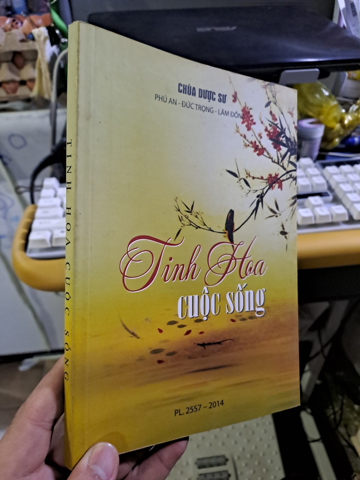 Tinh hoa cuộc sống Chùa Dược Sư Tôn Sư Hải Triều Âm mới 90% TÂM LINH - TÔN GIÁO - THIỀN HCM1709 (NSX)