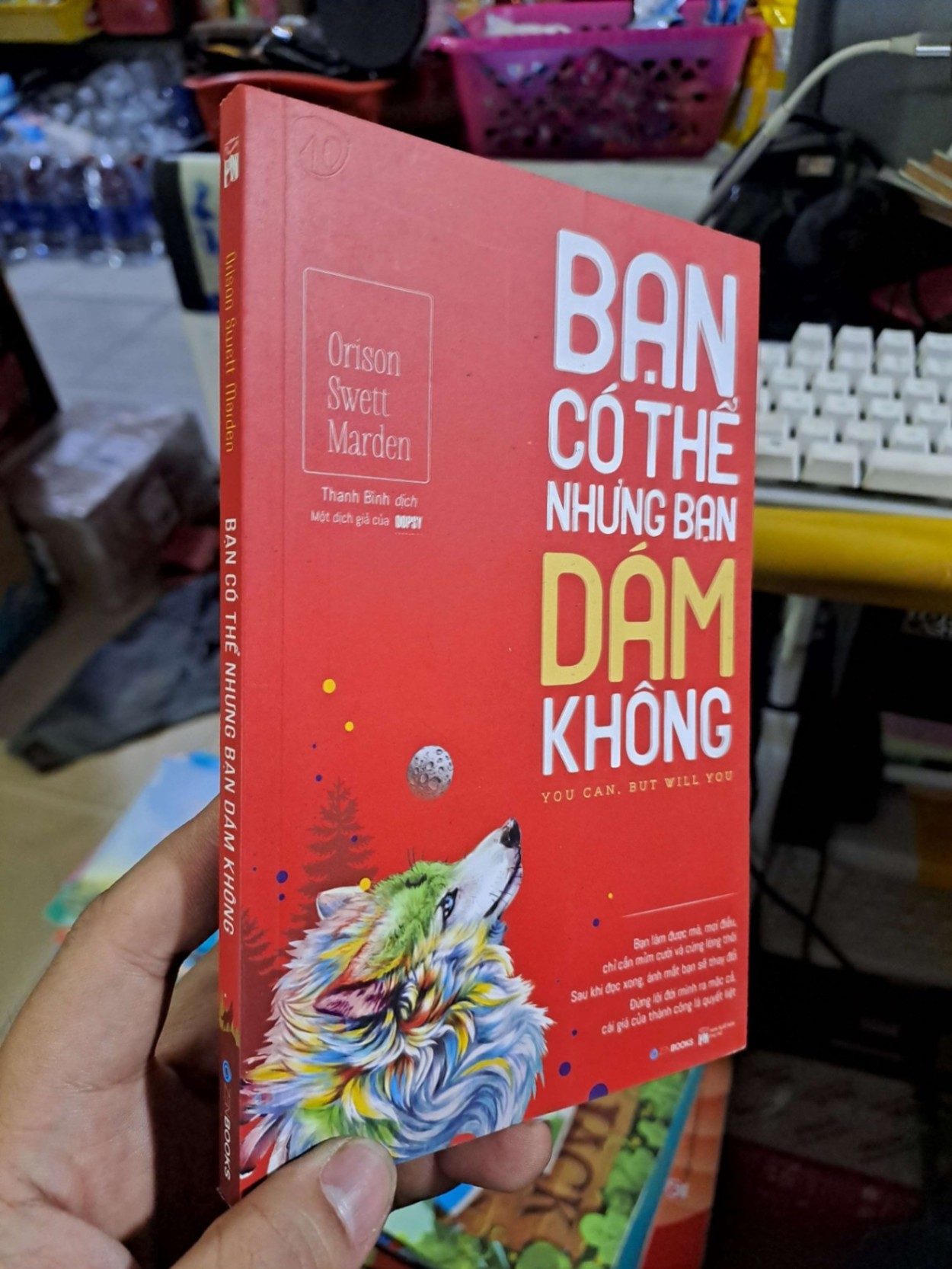 Bạn có thể nhưng bạn dám không - Marden - 2019 mới 90% - KỸ NĂNG - HCM0111 (NSX)