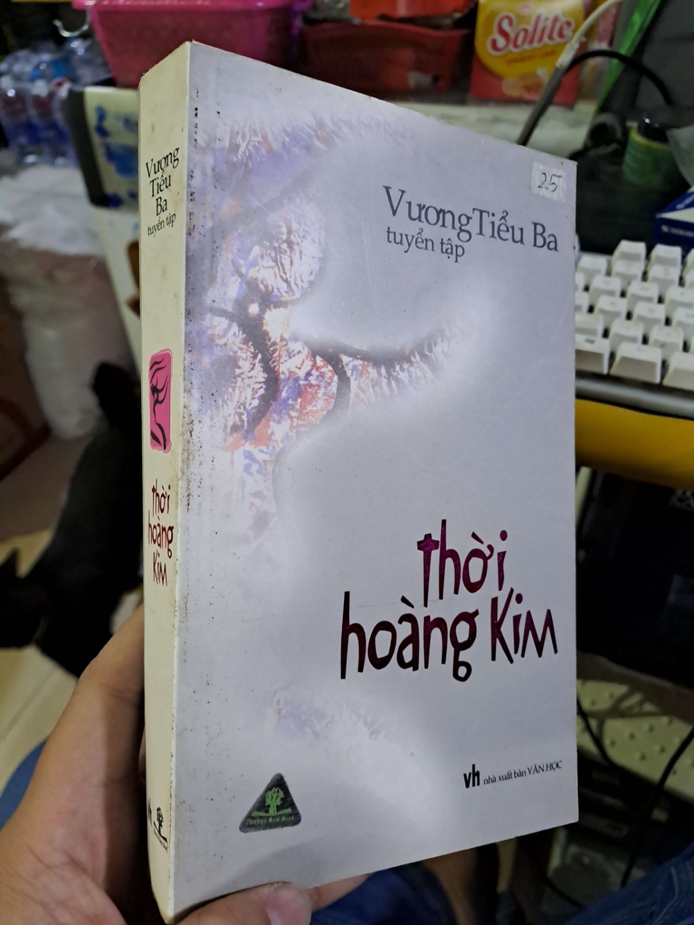 Thời hoàng kim - Vương Tiểu Ba VĂN HỌC HCM1008 (NSX)