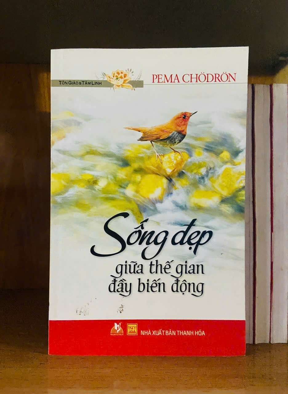 Sống đẹp giữa thế gian đầu biến động - Pema Chodron KHOA HỌC ĐỜI SỐNG VAVO0810